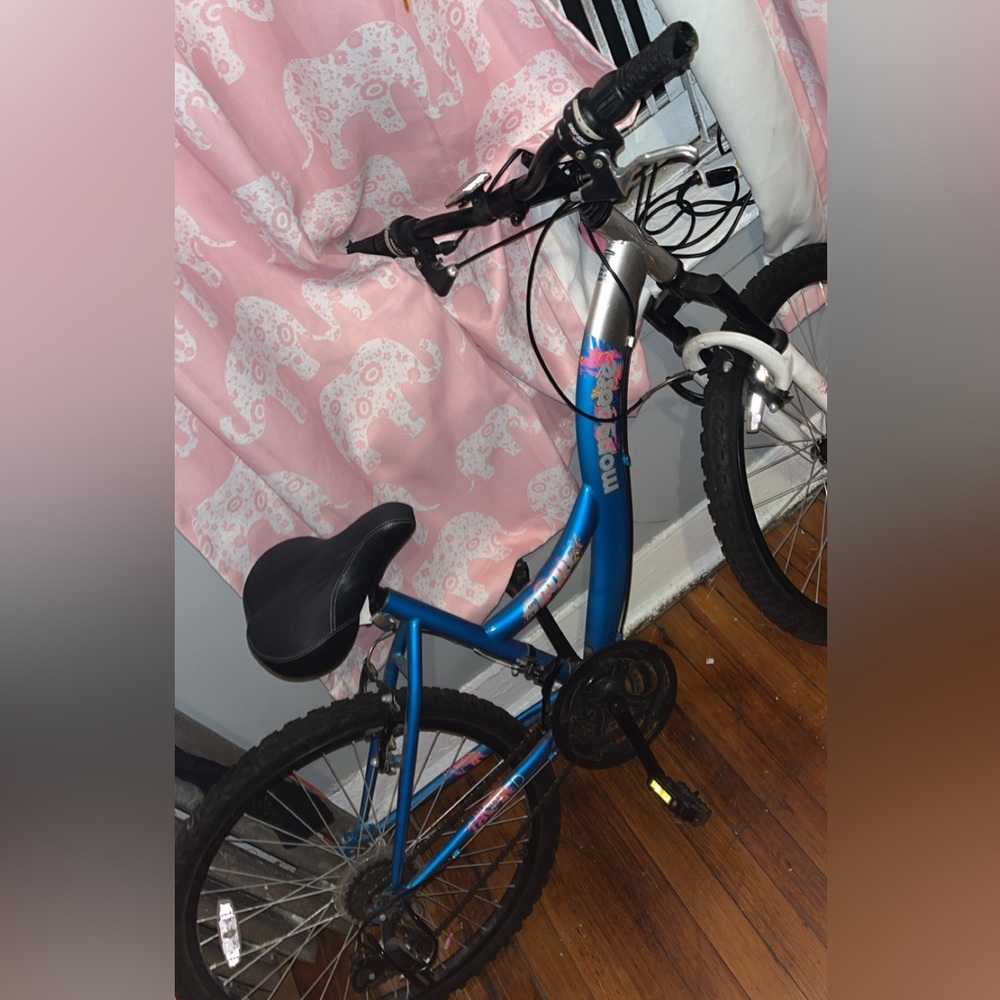 I am a selling a blue bike that I don’t need anymore.